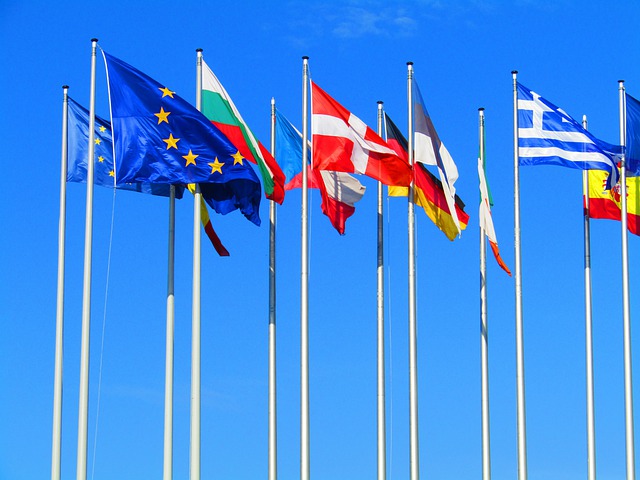 Vlajky Európskej Únie a členských štátov vejúce vo vetre