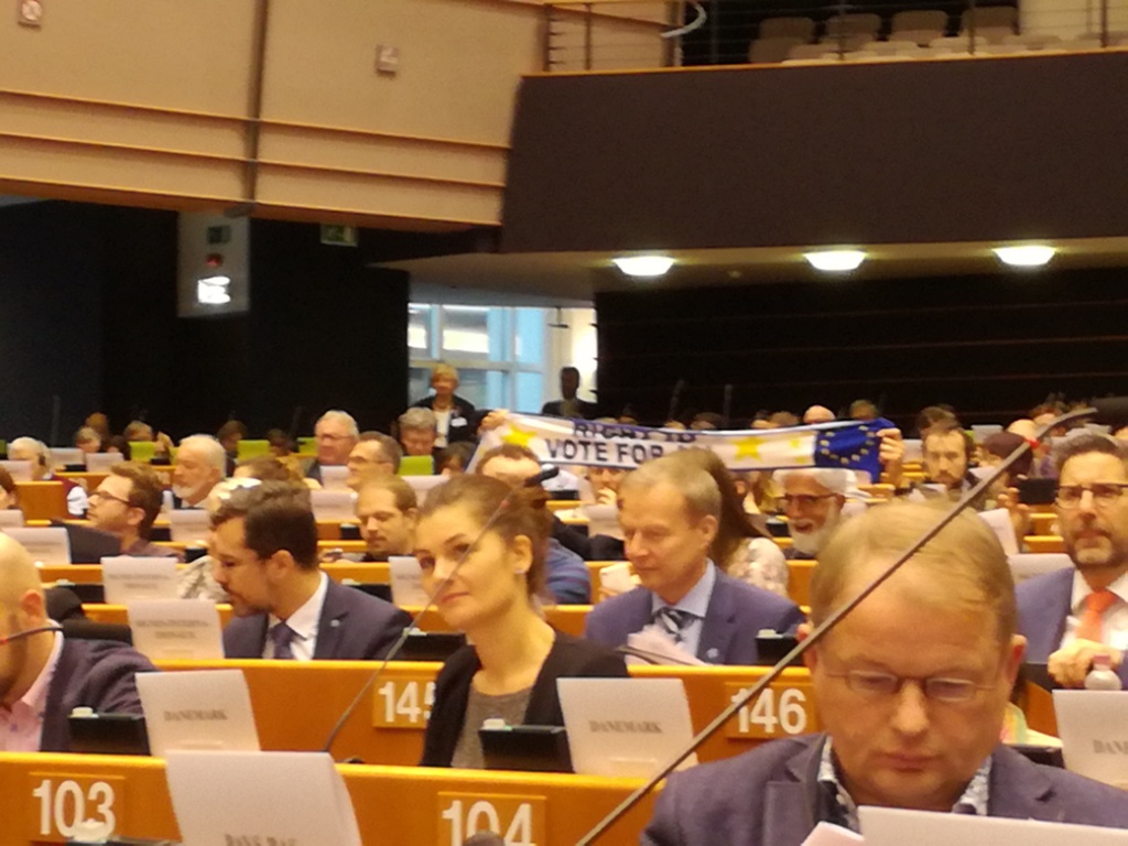 Účastníci zasadnutia Štvrtého Európskeho parlamentu ľudí so zdravotným postihnutím sediaci v sále